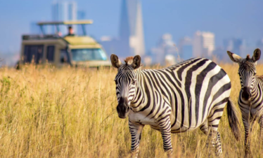 Nairobi City Tours & Excursions
